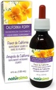 Naturalma Eschscholzia (Eschscholzia Californica) 허브 알코올 - 무료 Tincture - 드롭 4 fl oz 액체 추출물 - 초본 보충 - Vegan