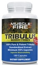 초본 영양 Tribulus Terrestris, 불가리아, 1500mg 45% Saponins, 더 나은 업데이트를위한 Lecithin, 180 캡슐, 한 병 ...