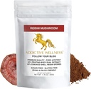 독보적인 웰빙 Reishi 버섯 추출물 분말 + 스포레스 (50/50 혼합) 나무 Grown 순수한 & 강력한 Wildcrafted Ganoderma 50g (1.76 oz)
