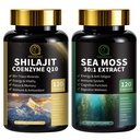 남자, 바다 Moss 및 Shilajit 번들을위한 Shilajit, Coenzyme Q10, Black Seed, Ashwagandha, Taurine, Burdock for Energy, Endurance, Antioxidant & Immune Support, 240 캡슐과 함께 모든 보충제