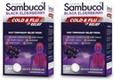 Sambucol 감기와 불 기복 정제 - Homeopathic 찬 약, Nasal & Sinus Congestion 기복, Runny Nose를 위한 사용, 기침, 성인을 위한 찬 Remedy - 검정 Elderberry, 30 조사, 2 팩
