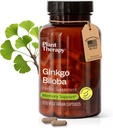 식물 치료 Ginkgo Biloba 캡슐 제조 미국 4 달 공급 지원 기억 Cognitive 기능, 건강한 순환 및 여자 & 남자 120 채식 캡슐을 위한 산화 방지제 Rich 보충교재