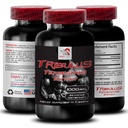 Stamina 지원 공식 - TRIBULUS TERRESTRIS EXTRACT - 힘 재충전, 힘 지원 혼합, 육체적인 부스트, 식물 힘 에너지, 몸 지원 공식, 힘 및 힘, 활동적인 힘 1Bot 90Tab