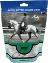 Funky Unicorn Gastic Chews - MINT 맛