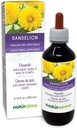 Naturalma Dandelion (Taraxacum officinale) 뿌리와 허브 알코올 프리 탄약 - 6.76 fl oz 액체 추출물 드롭 - 초본 보충 - Vegan