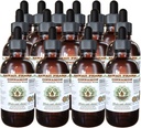 Cinnamon 알콜 자유로운 액체 추출물, Cinnamon (Cinnamomum Verum)에 의하여 말린 Bark Glycerite 하와이 Pharm 자연적인 초본 보충교재 15x4 oz