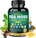 Black Seed Oil, Ashwagandha, Bladderwrack, Ginger & Burdock Root와 Bualle Organic Sea Moss 캡슐 - 매일 웰빙을위한 허브 복합체 - 60 캡슐 (1 팩)