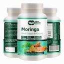 Moringa는 Turmeric와 Ginger, 300의 알약, 5 달 공급, 150의 봉사, 봉사 당 1000 Mg를 가진 정제를 메모장에 기입합니다. 여러 이점을 가진 1개의 캡슐 - Digestive 건강 (1의 포장)를 지원합니다