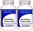 Artemisia Capillaris (90 캡슐) - 집중된 초본 추출물 - 규정식 보충교재 - 2 팩