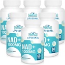 Liposomal NAD+ 보충교재 1000 mg | 가장 높은 NAD Pontecy | 최대 흡수 | 순수한 NAD 보충교재 | 에너지와 DNA 수선, 노후화, 뇌 기능 | 360 Softgels