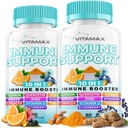 Elderberry, D3, Selenium, Quercetin, 아연, 비타민 C, Ginger, Turmeric Curcumin, B6, Echinacea - Immune Defense와 함께 10에서 1 면역력 지원 (패치 2))