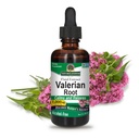 자연의 대답 발레단 뿌리 | 쉼터 & 휴식 | 슈퍼 농축 1000mg | Gluten-Free, Alcohol-Free, Kosher Certified & Vegan 2oz (Pack of 2)