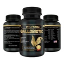 로스터를 위한 Gallobiotic 자연적인 Multivitamin, Hens - 100개의 정제 | 비타민 Completas para Gallos
