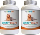 Dog Bladder Support - Dog Urinary Health Formula - Incontinence 및 Bladder Issues와 도움말 - 면역 부스트 - Dog Cranberry Supplement chew - 2 병 (180 치료)
