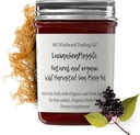 Sebi Inspired Alkaline Organic Fresh Elderberry Ginger Sea Moss Gel - Natural Essential Vitamins, Minerals Plus Antioxidants Wild Harvested from Saint Lucia (8 온스)