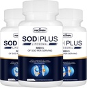 Superoxide Dismutase 보충교재 500mg - Liposomal 글루타티온, AKG, 녹차 추출물, L 아르기닌, Lysine, Resveratrol 및 비타민 E를 가진 SOD 플러스, 산화 방지제 180 캡슐