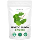 Ginkgo Biloba Powder 8 oz - 순수 천연 보충, 뇌 지원, 정신 건강, 필러 무료