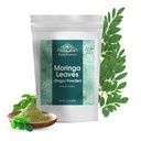 Moringa 잎 분말 Oleifera 잎 Shigru 음료와 스무디 16 Ounce