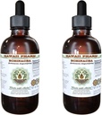 Echinacea 알콜 자유로운 액체 추출물, Echinacea (Echinacea Angustifolia)에 의하여 말린 뿌리 글리세라이드 하와이 Pharm 자연적인 초본 보충교재 2x4 oz
