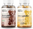 야생 & 유기 버섯 Gummies & Ashwagandha Gummies