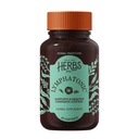 허브 기타. 림프종 Sg, 60 CT