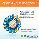 REVGENETICS 고급 NAD + 보충교재, 60 캡슐 - 건강한 시효 & Longevity를 위한 규정식 보충교재