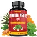 Boswellia, Turmeric & Saw Palmetto와 Nettle Extract 캡슐을 스팅 - 합동, 바디 관리, 피부, 헤어 및 면역을위한 2 개월 공급