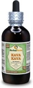 Kava Kava (Piper Methysticum) Glycerite, 말린 뿌리 알콜 자유로운 액체 추출물 (브랜드 이름: HerbalTerra, 미국에서 Proudly 만든) 4 fl.oz (120 ml)