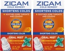 Zicam 찬 Remedy 아연 Arctic Mint 구두 안개, 1개의 Ounce (2의 포장)