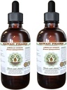 미국 인삼 알콜 자유로운 액체 추출물, 인삼 (Panax Quinquefolius)는 뿌리 Glycerite 하와이 Pharm 자연적인 초본 보충교재 2x4 oz를 말렸습니다