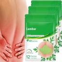 Lumbar 건강 패치 (36 PCS/3 가방)