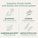전통 약품 Lozenges, 유기 갑옷 코트 레몬 제이너 Echinacea, Sore Throat 지원, 16 개 (팩 2)