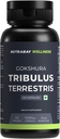 Wellness Tribulus Terrestries (Gokshura) - 에너지, 성능 및 체력 및 근육 성장을위한 자연 지원 - 1000mg, 60 Veg 캡슐