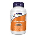 지금 식품 보충제, L-Carnosine (Beta-Alanyl-L-Histidine) 500 mg, 건강한 노화, 100 Veg 캡슐