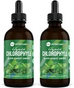 Peppermint 기름을 가진 360의 영양 Chlorophyll 액체 하락, GF & Vegan 몸 내부 탈취제 보충교재, 지원 Gut 건강, 소화, 에너지, 레이디언트 피부, 빠른 흡수 (4 Fl Oz (2 조사)