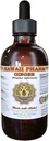 Hawaii Pharm Ginger 액체 추출물, 유기 생강 (Zingiber officinale) Tincture 보충교재 2개 oz