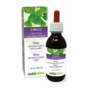 Naturalma Ginkgo (Ginkgo biloba) 잎 알코올 - 무료 색소 - 드롭 4 fl oz 액체 추출물 - 초본 보충 - Vegan