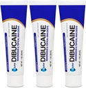 (3 팩) 지구 Dibucaine 1% 치질 처리 연고 - 1개 Oz 급속한 노후화 기복, 이차 및 화상에서 치질 처리