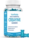 Creatine Gummies Monohydrate, Chewable Creatine Monohydrate, 근육 Boost, 에너지 부스트, 전 운동 보충교재, 강화된 Bursts, Vegan, 근육 성장 지원, 회복 & 성과, 글루텐 자유로운