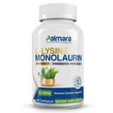Palmara 건강 L 리진 + Monolaurin 600mg 1:1 비율, 1 팩, 100 캡슐