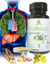 OMNIBREATHE - NAC 600MG 과학적으로 공식적인 w. Quercetin/Mullein/Coq 10/Ginger/Sting Nettle/Bromelain, 3 시간 w. 식사 (10 일 공급 부스트로)에 의하여 빠른 임신 문제