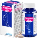 MAGNOX® 레이디 마그네슘 보충 | 남성용 및 PMS 지원 여성용 보충 | 비타민 B6, B1, B12, D, 아연을 가진 마그네슘 복합체 | 고 흡수 죽은 바다 유기 | 60 채식 캡슐