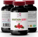 여성을위한 항 산화 보충 - HAWTHORN BERRIES EXTRACT - 호손 추출물 보충, 베리 보충, 항 산화 열매, 야생 베리 에너지, 여성을위한 호손 에너지 약 1 Bot 60 캡슐