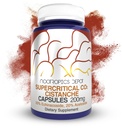 Nootropics Depot Cistanche Supercritical CO2 추출물 캡슐 | 20% Echinacoside + 20% Verbascoside (Acetoside) | 60 개