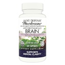 Host Defense MycoBotanicals Brain* Capsules - Lion's Mane, Reishi & Cordyceps Mushroom과 Brain Support Supplement - 메모리 및 포커스 지원을위한 초본 보충 - 60 캡슐 (30 인분) *