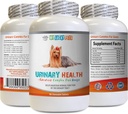 Dog Urinary Incontinence - Dog Urinary Health Formula - Incontinence 및 Bladder Issues와 도움말 - 면역 부스트 - 옥수수 실크 캡슐 개 - 1 병 (90 치료)