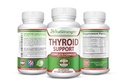 Thyroid 지원 - Iodine, Bladderwrack, Kelp, B12 및 More- Thyroid 에너지와 에너지 레벨을 지원하는 완전한 공식: T4를 T3 보충에 밀어 - 비 GMO