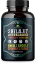 남성용 Shilajit – Ashwagandha, Cordyceps, Ginseng, Rhodiola, Turmeric, Chaga & Ginger와 8-in-1 Adaptogenic 보충 – 120 Vegan 캡슐