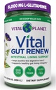 Vital Planet - L 글루타민, Marshmallow 및 Ginger 뿌리, DGL Licorice 뿌리 및 유기 알로에 Vera, L 글루타민 6000mg 13.76 oz를 가진 새 분말 보충교재