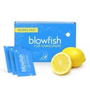 Hangover에 대한 Blowfish - 15 분 안에 빠른 Hangover 구호 | Headache Relief, Energy, Hydration in One Step | Single Box